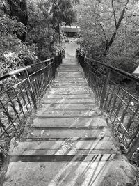 High angle view of footbridge amidst trees in forest