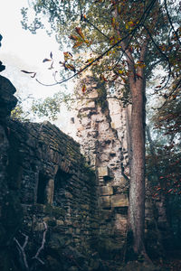 Low angle view of rock formations