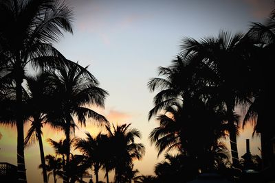Low angle view of silhouette palm trees against sky