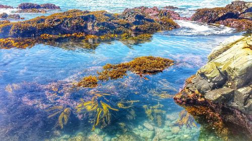 Rocks in water