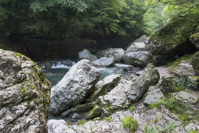 River flowing through rocks in forest