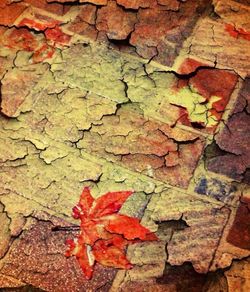 Close-up of brick wall