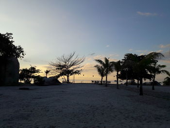 Silhouette palm trees on landscape against clear sky at sunset