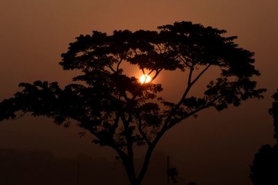 Tree against romantic sky at sunset