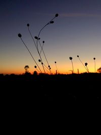 Silhouette plants on field against sky during sunset