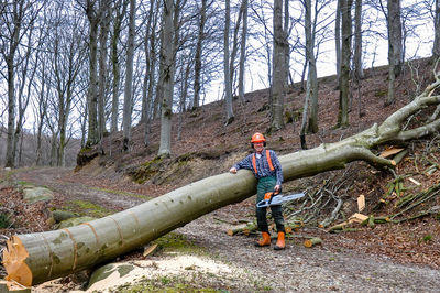 Me with chainsaw in front of beech tree