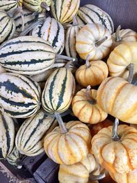 Close-up of pumpkins in market