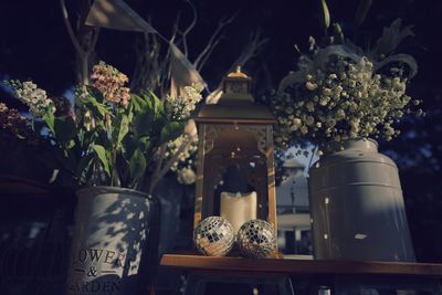 Close-up of potted plants