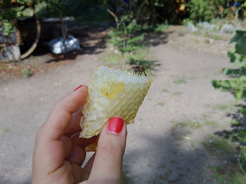 Midsection of person holding ice cream cone