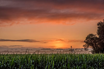 Scenic view of field against sky during sunset