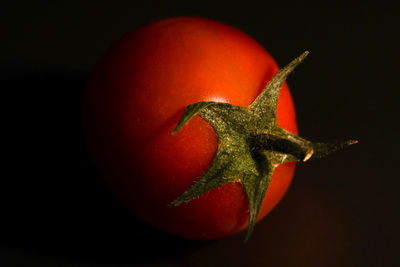 Close-up of tomato against black background