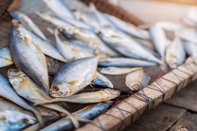 High angle view of fish for sale in market