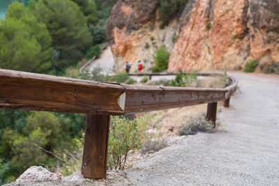 Bench on rock by trees in forest