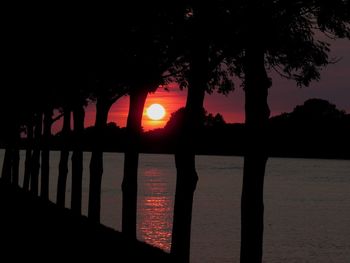 Silhouette trees by sea against sky during sunset