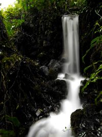 View of waterfall in forest