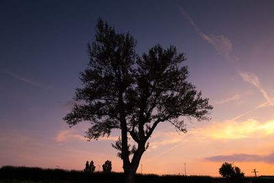 Silhouette tree against sky during sunset