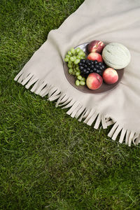 Fresh fruits on the plate on the blanket outdoors in the park. summer grape, peach, melon. picnic