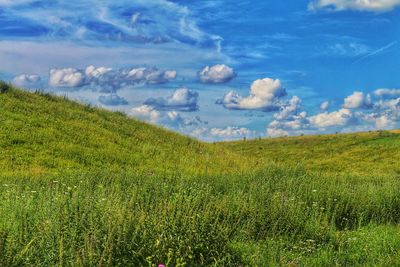 Scenic view of field against sky