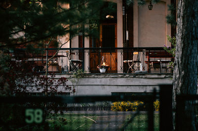 Plants growing outside building
