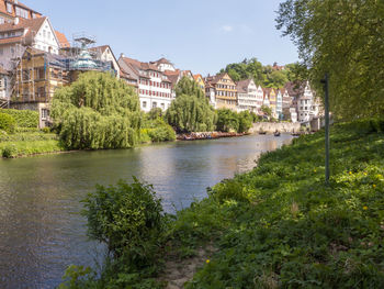 River amidst buildings and trees against sky