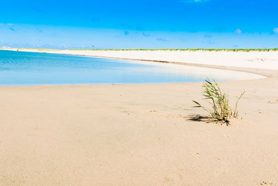 Scenic view of beach against blue sky