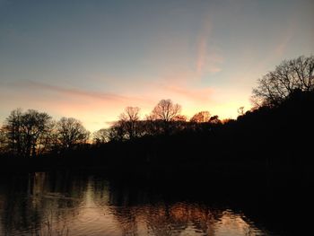 Silhouette of trees at sunset