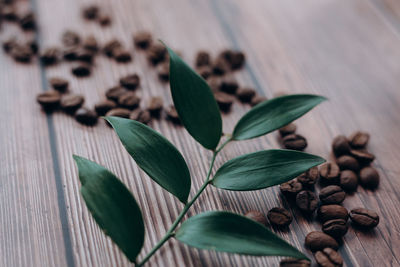 High angle view of leaves on table