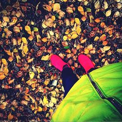 Low section of person standing by autumn leaves