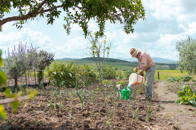 Rear view of man climbing on farm against sky