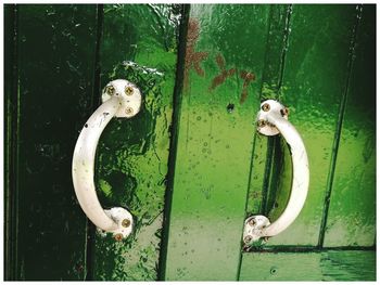 Close-up of cat on door