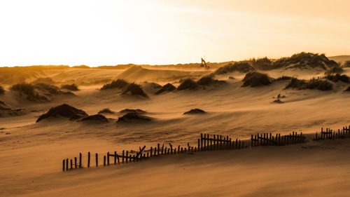 Scenic view of desert against sky