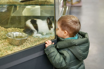 Rabbits for sale behind the glass showcase in a pet shop