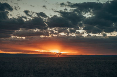 Scenic view of field against sky during sunset