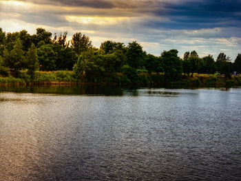 Scenic view of lake in forest against sky