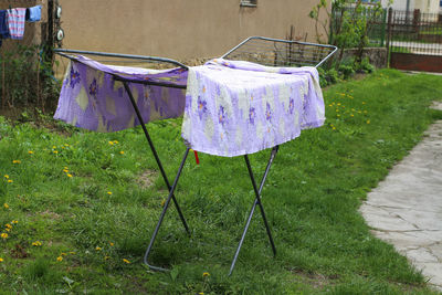 Close-up of clothes drying on grass