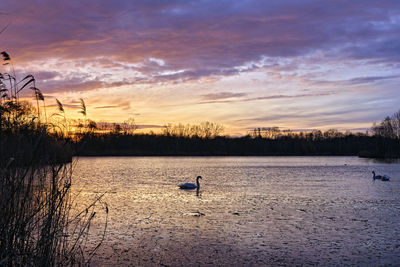 Scenic view of lake against sky during sunset