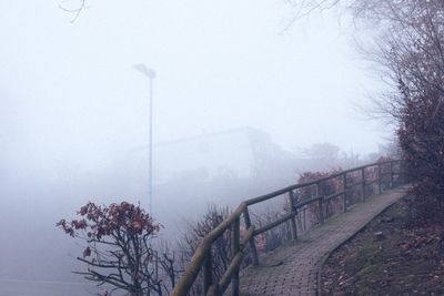 Bare trees against sky during foggy weather