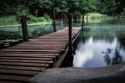 Wooden bridge over lake in forest