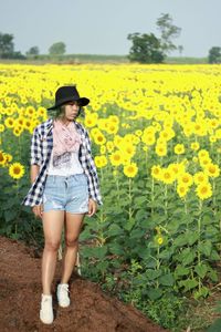 Young woman standing by sunflower farm