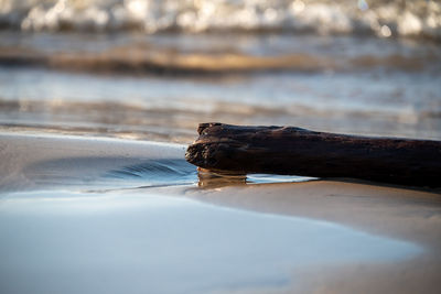 Close-up of water