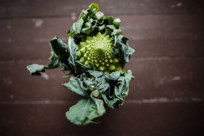 Close-up of vegetables on table