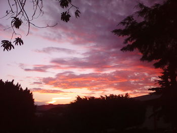 Low angle view of silhouette trees against sky at sunset