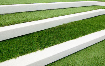 High angle view of grass on field