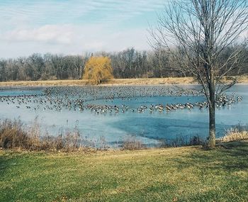 Scenic view of lake against sky