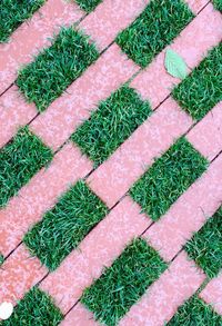 High angle view of green field