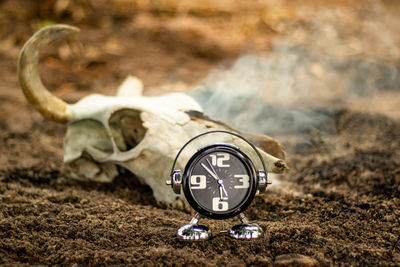 Close-up of clock on the land