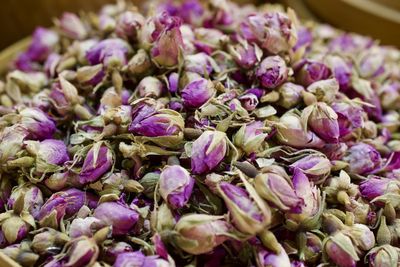 Close-up of purple flowers in market