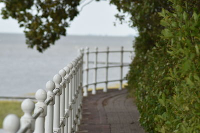 Footpath by railing against sea