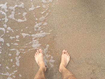 Low section of person standing on beach