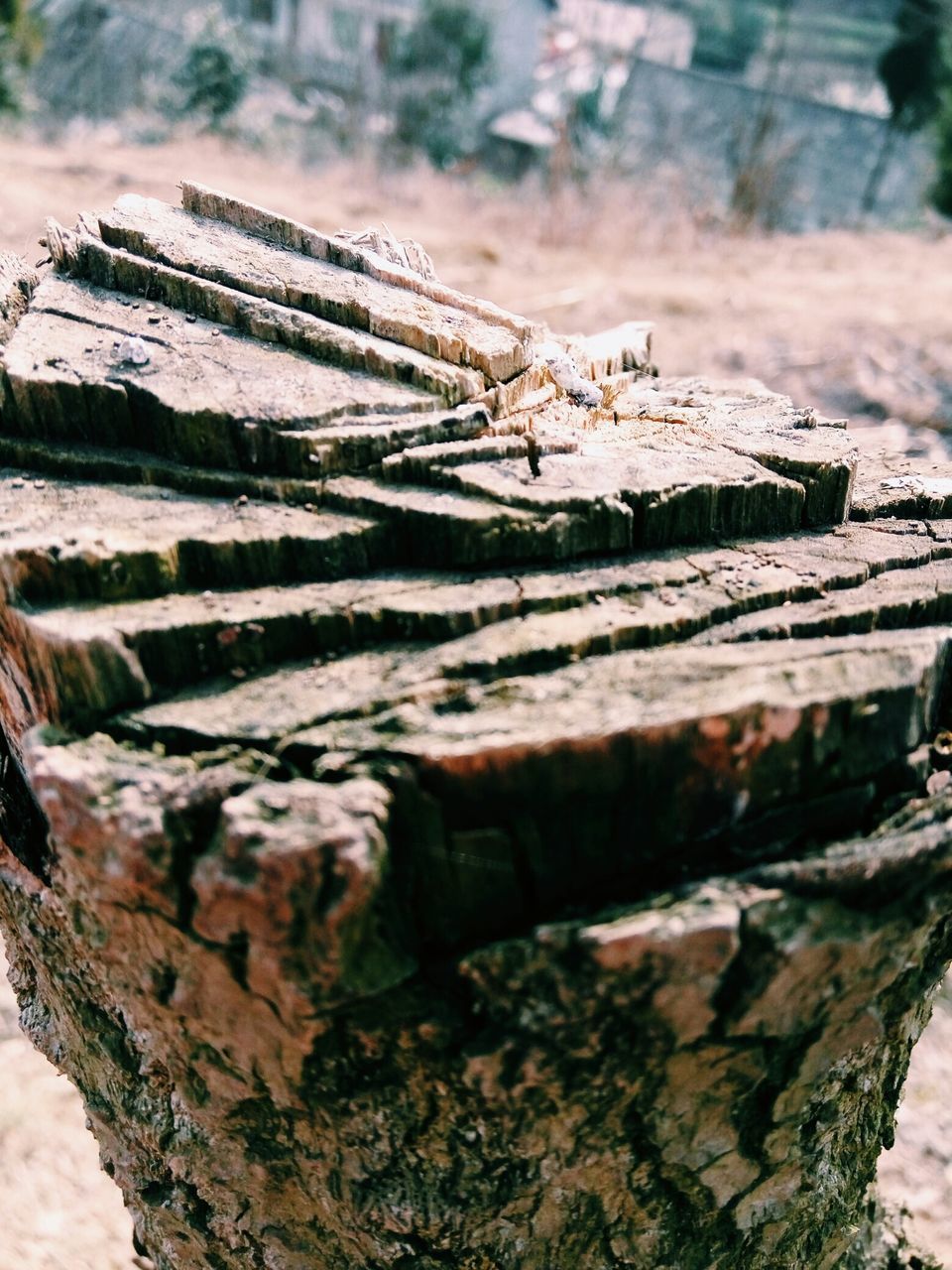 close-up, wood - material, textured, focus on foreground, log, rough, weathered, selective focus, damaged, rusty, old, day, moss, outdoors, wood, deterioration, deforestation, no people, rock - object, run-down